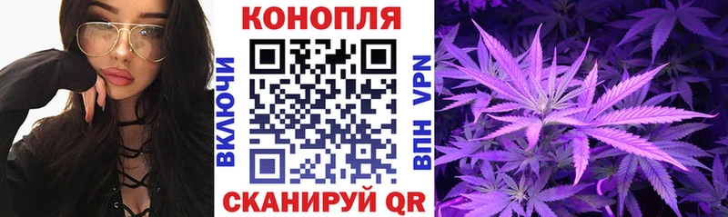 kraken Себеж МАРИХУАНА SATIVA & INDICA